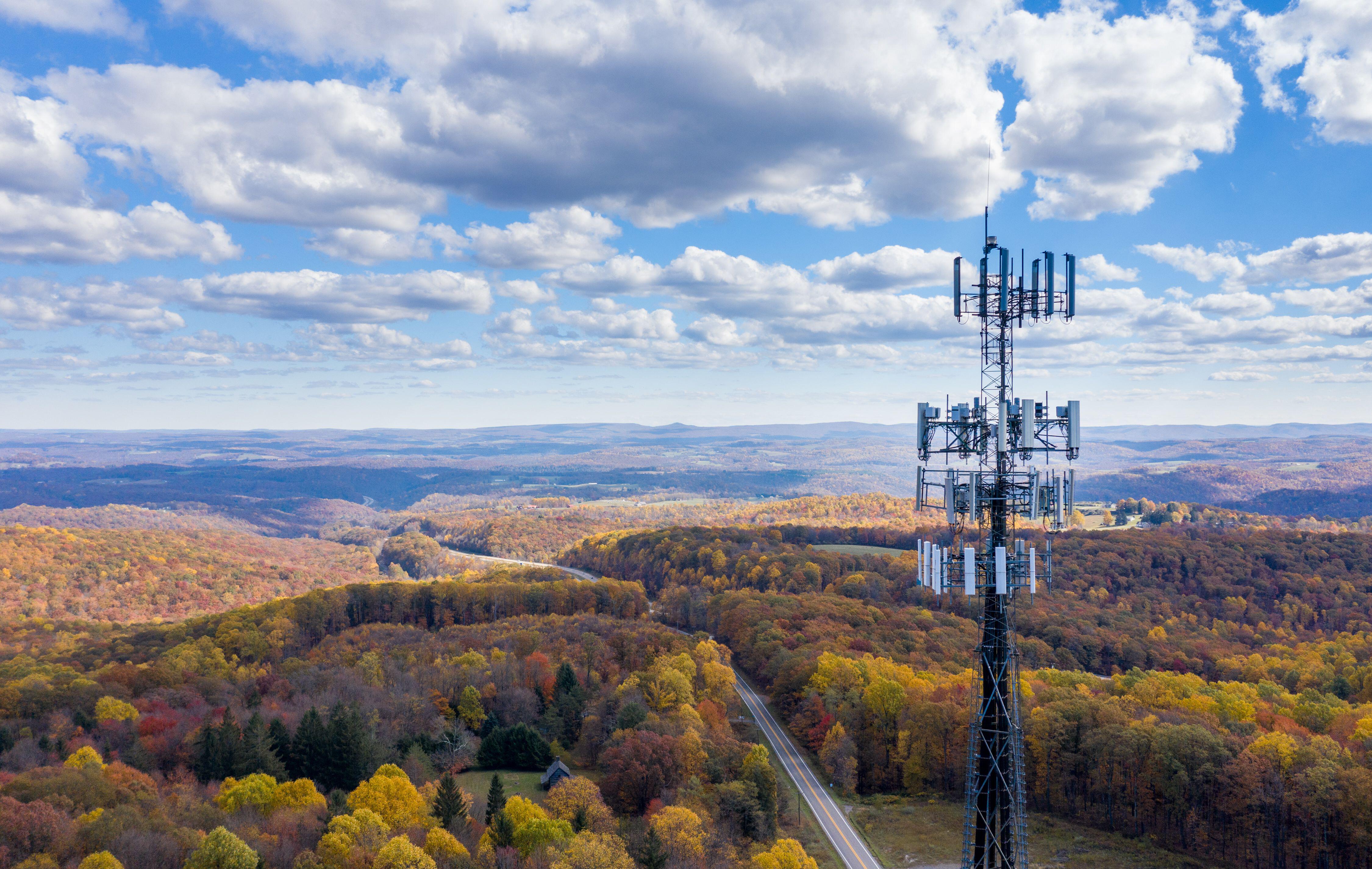 A cell phone tower amid the trees.
