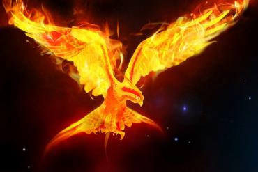 Illustration of a phoenix rising
