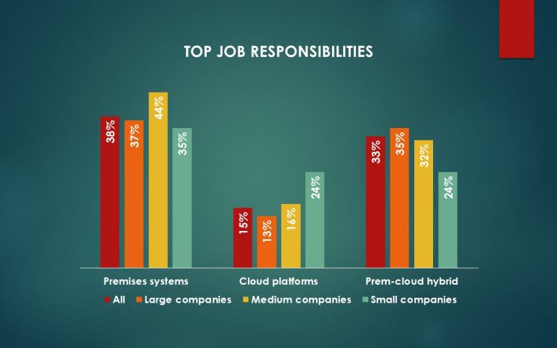 Chart of top job responsibilities