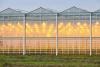Image illustrating high-tech greenhouses